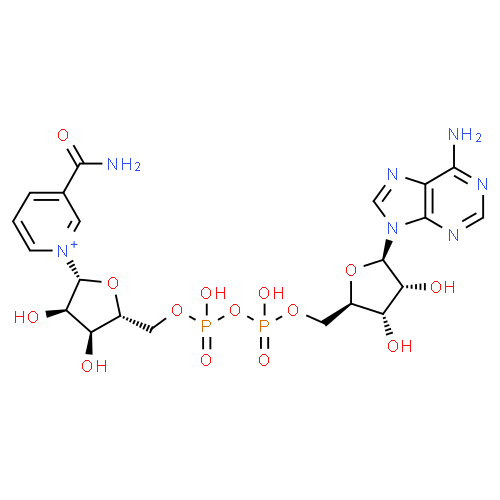 nad+ molecular structure